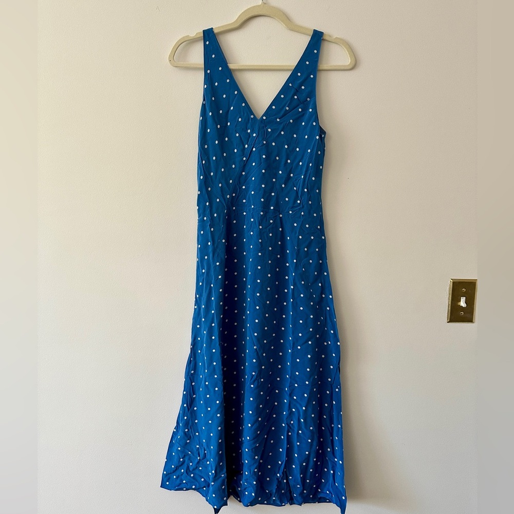 Alex Mill Blue Polka Dot Midi Dress